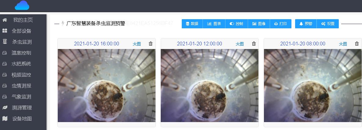 景觀殺蟲(chóng)燈圖片5